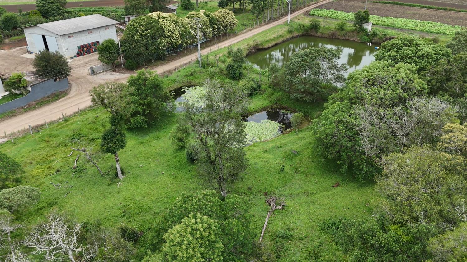 Vista aérea de espelhos d'água em meio a pastagem arborizada, com estrada de terra e áreas de cultivo ao fundo.